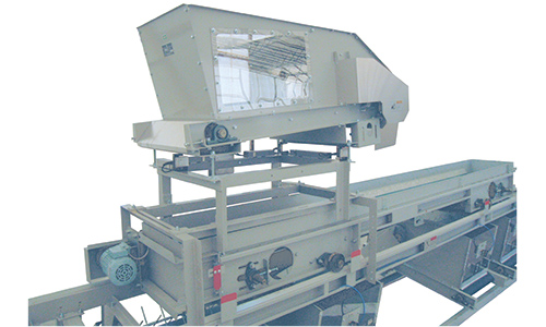 精揉分配投入裝置